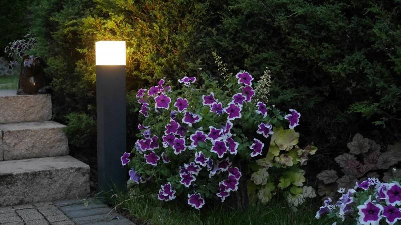 Outdoor Deckenlampe AWERNE IP44 Schwarz E27