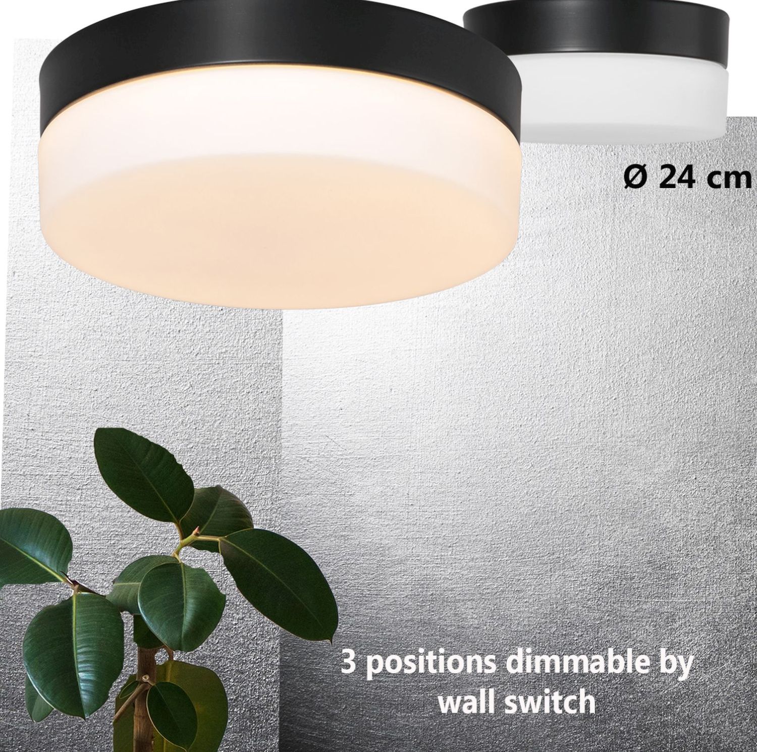 Plafonnier LED rond verre métal IP44 Ø24 cm 18 W