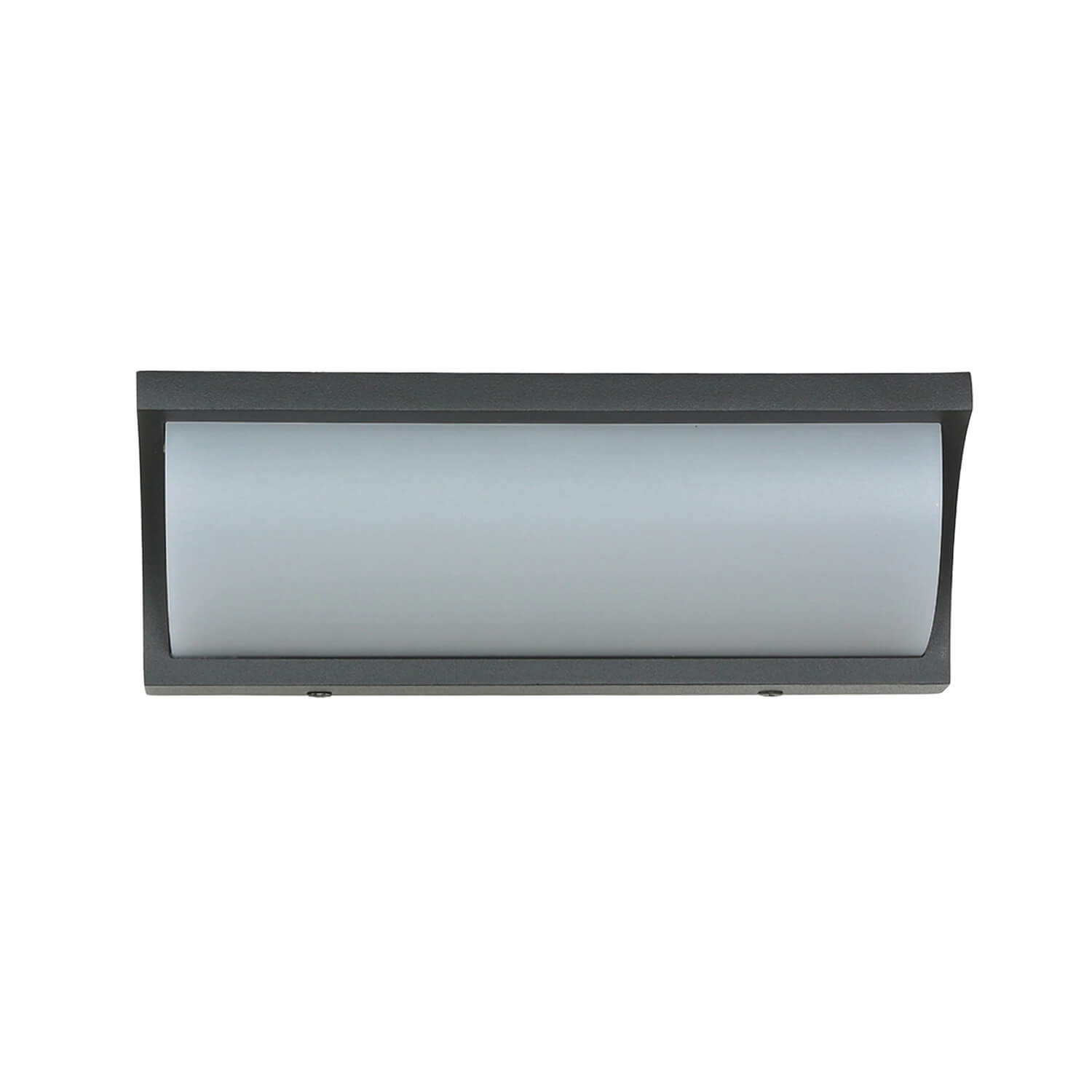 Applique murale LED TENBOS Anthracite IP65 Moderne Extérieur